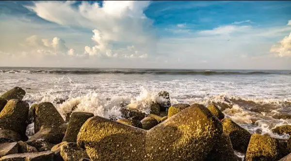 দীঘায় বাংলা কবিতা ডট কমের ১৪ই আগস্টের সাহিত্য সভায় যোগদানে আগ্রহী  কবি বন্ধুদের নামের তালিকা।